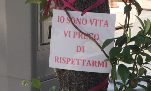 Il Comitato del Giro d’Italia liberi gli alberi dai nastrini rosa